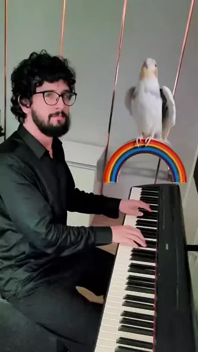 Cele mai bune meme cu Piano :) MemedroidCele mai bune meme cu Piano :) Memedroid  