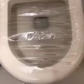 Toilet prank