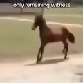 Sneak horse