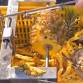 Peeling and cleaning a pineapple