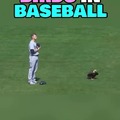 Birds in baseball