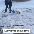 I guarantee you, he's cold, he's tired, he just wants to go inside. But if he dares to stop shoveling that snow, Lucy will blow his eardrums out