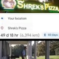 Shrek pizza