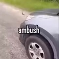 It's an ambush