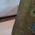commented item thumbnail