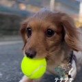 commented item thumbnail