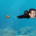 MAD- llevando a Nemo (parte 2