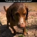 commented item thumbnail