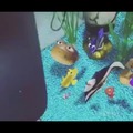 commented item thumbnail
