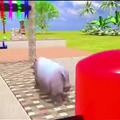 commented item thumbnail