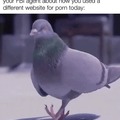 FBI pigeon