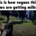 Questo è il modo in cui i vegani pensano che le mucche vengano munte