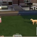 commented item thumbnail