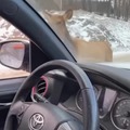 commented item thumbnail