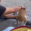 commented item thumbnail