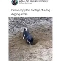 commented item thumbnail