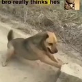 commented item thumbnail