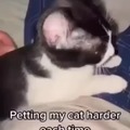 Petting the cat