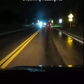Deer in headlights driving