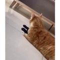 commented item thumbnail