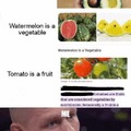 Tomato is a fruit