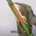 commented item thumbnail