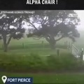 Alpha chair