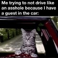 when you have a guest in the car