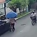 Guy fends off thieves with an umbrella.