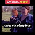 Trans facts