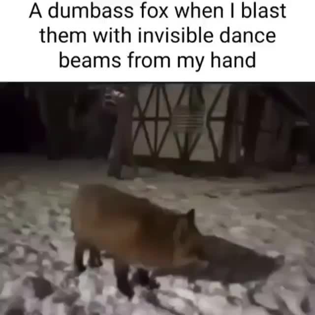 boogie - Meme by besterminer :) Memedroid
