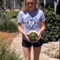 Karma da melancia