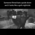 Goth bats