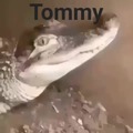 Tommy is a good boy!