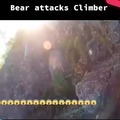 Bear attacks climber