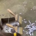commented item thumbnail