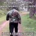Cool bug