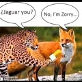 Jaguar you? No i'm zorry