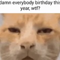 everybody birthday this year?