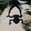La sombra perfecta de rana