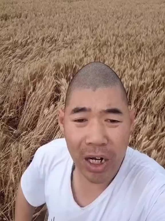 Chin chong Meme subido por campocamposamyyuyari ) Memedroid