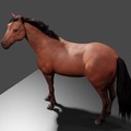commented item thumbnail