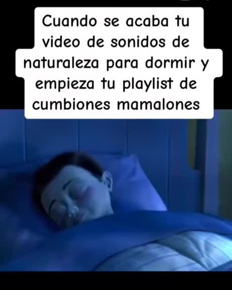 Cuando Te Quedas Dormido Con El Sonido Encendido Meme Subido Por