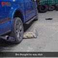 commented item thumbnail