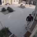 Hombre salva a su gato del ataque de un perro