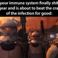 Thank you immune system