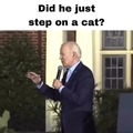 Biden stepped on a cat?