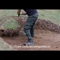 commented item thumbnail