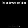 Man Spider