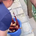 commented item thumbnail
